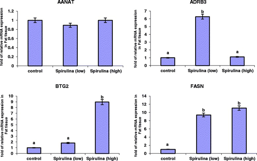 Girth Control: The Science Of Fat Loss And Muscle Gain.pdf